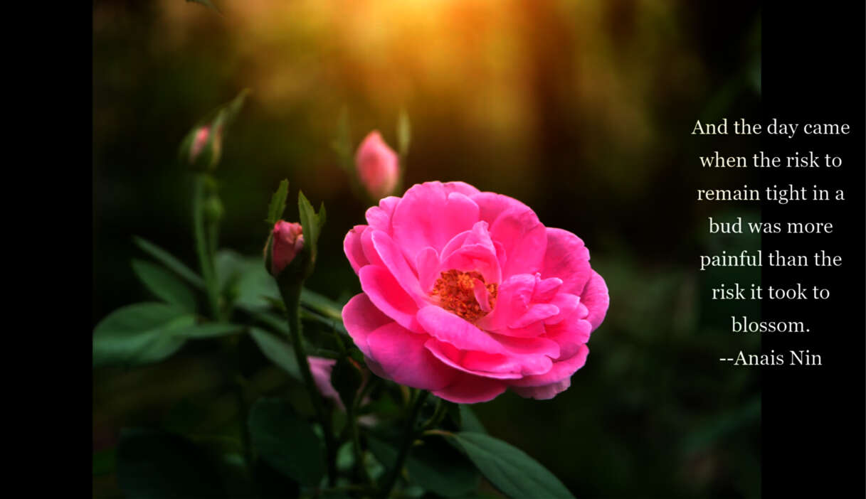 Flower with inspirational words