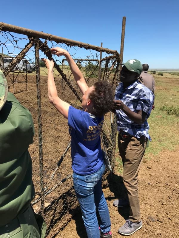 Repairing the Boma fence